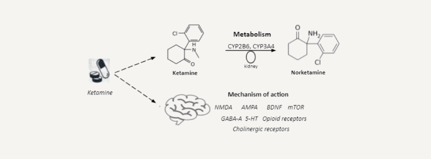 What is Ketamine?