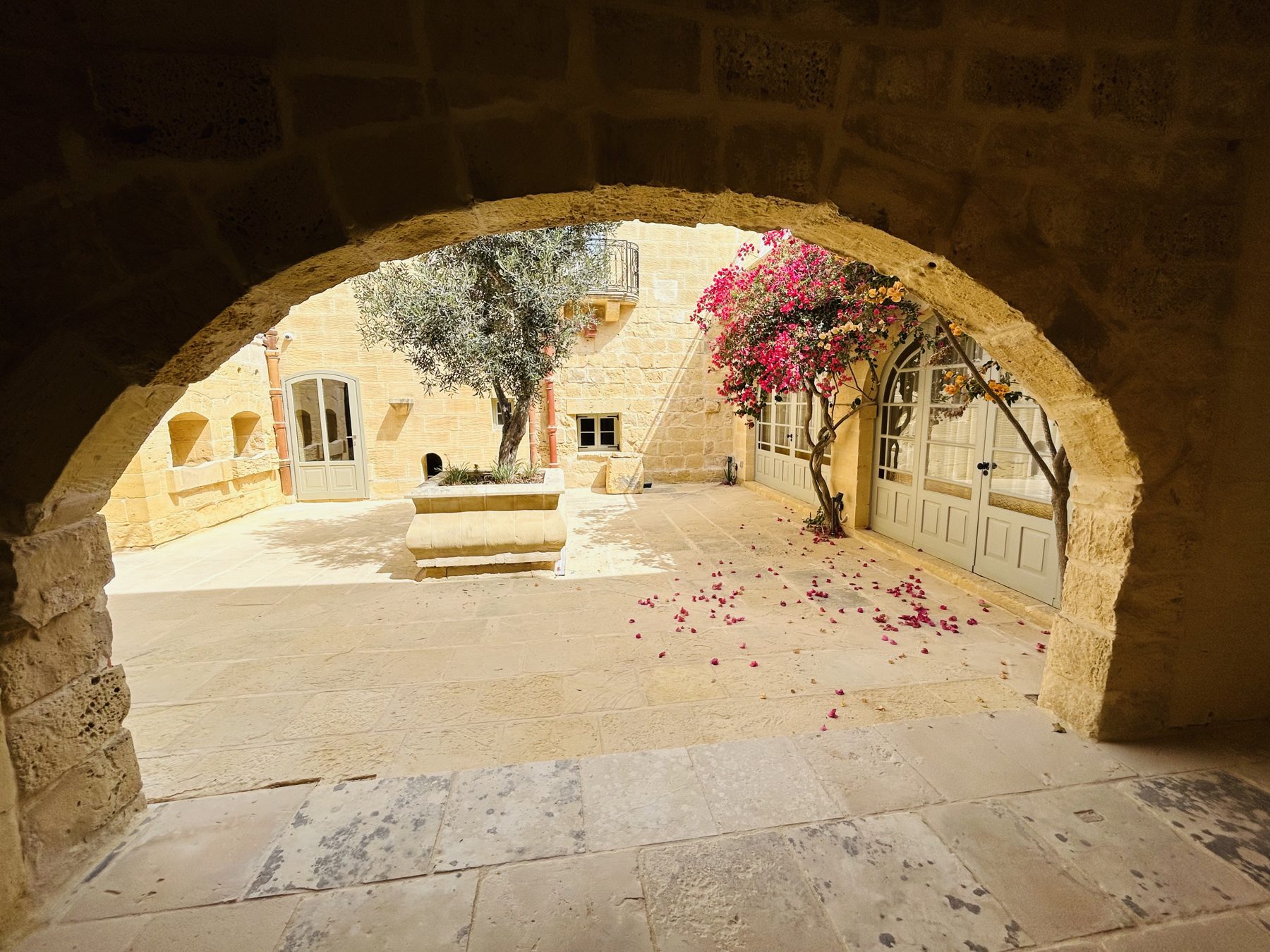 Courtyard with an olive tree seen through a stone arch